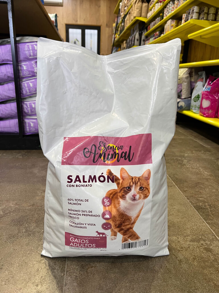 esencia-animal-gato-salmon